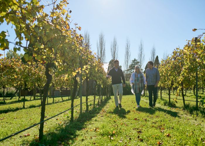 A couple enjoys a tour of the vineyards at Bendooley Estate, Berrima