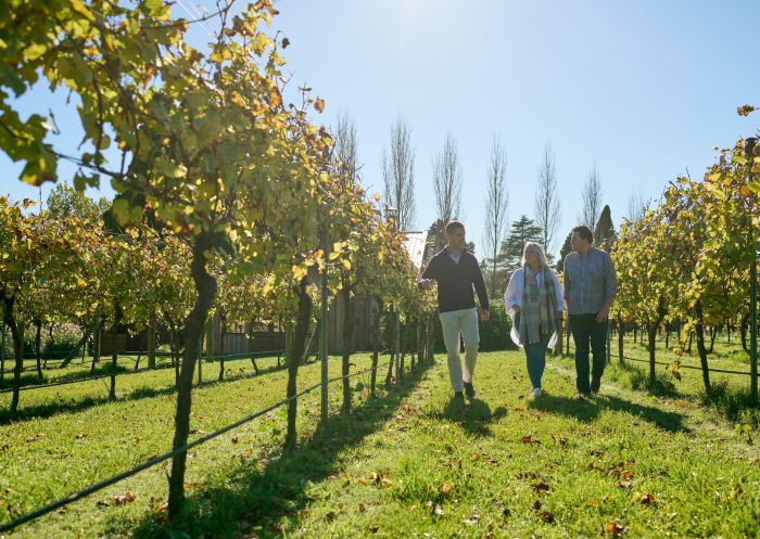 A couple enjoys a tour of the vineyards at Bendooley Estate, Berrima