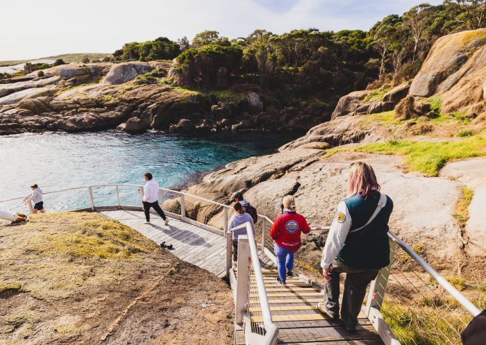 Guests exploring Montague Island on a Narooma Charters Montague Island Tour, Narooma