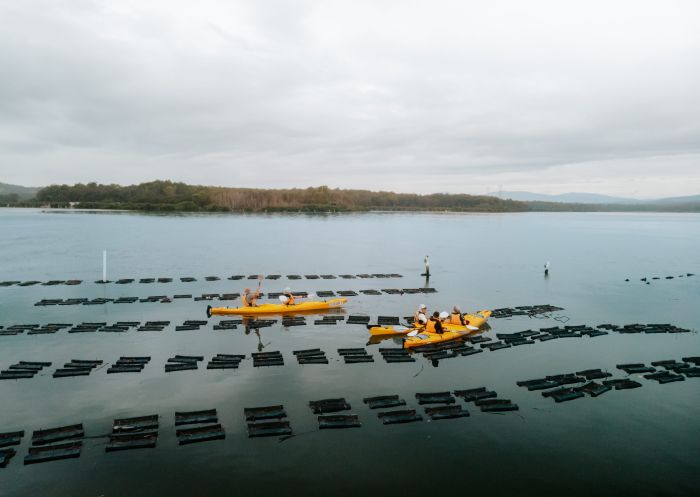 Kayaking and oyster tasting on the Clyde River, Batemans Bay