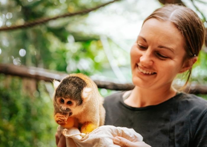 A woman on a unique wildlife encounter with a resident squirrel monkey at Mogo Wildlife Park