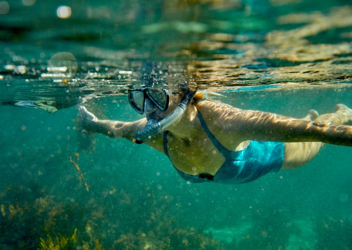 A woman snorkelling with arms outstretched in shallow water at Guerilla Bay