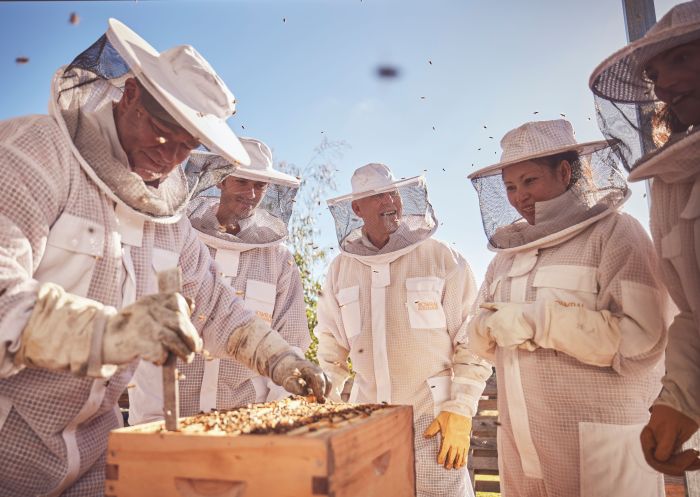 People learning about beekeeping at Bowral Beekeeping, Bowral