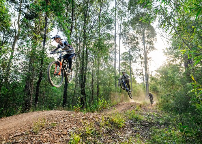 Gruppe Mountainbiker springen auf einem staubigen Buschpfad in Mogo – Bildnachweis: Eurobodalla Coast Tourism