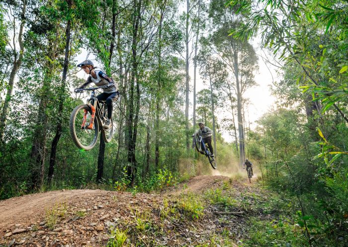 Group of mountain bike riders doing jumps on a dusty bush trail in Mogo - Credit: Eurobodalla Coast Tourism