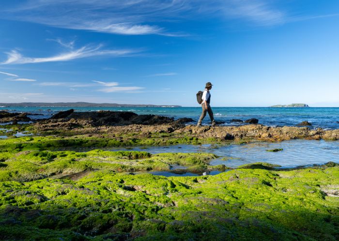 Female hiker walking on mossy rocks along the Munjip Trail on the Eurobodalla coastline - Credit: Eurobodalla Coast Tourism - Credit: Eurobodalla Coast Tourism