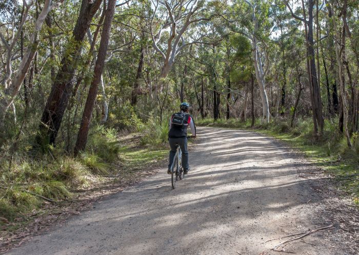 Bundanoon 自行車路線，莫頓國家公園 - 圖片來源：Michael Van Ewijk | DCCEEW