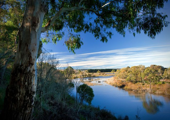 A serene view of a gumtree framing a waterway that winds around some bushes in the distance at Cecil Hoskins Nature Reserve, Moss Vale - Credit: Nick Cubbins | DCCEEW