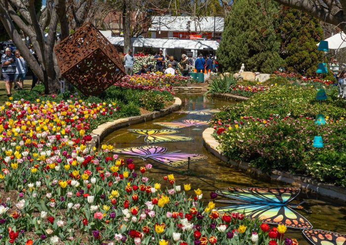 Tulips in full bloom and colour at the annual Tulip Time Festival in Corbett Gardens, Bowral