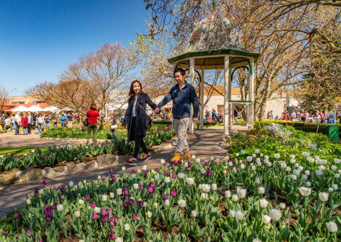 Couple enjoying the festival, Tulip Time Festival, Bowral