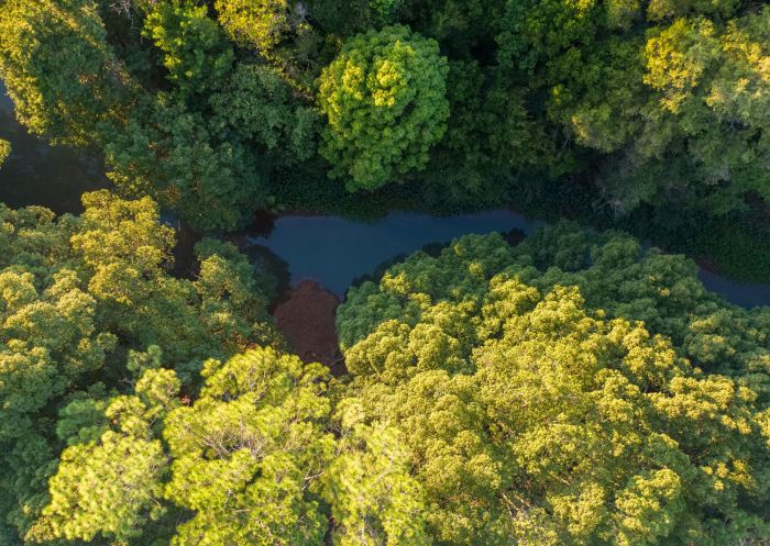 Aerial view, Piccabeen Park, Bangalow