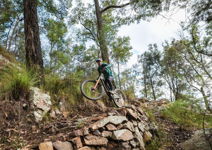 Boy mountain biking, Mogo Trails, Mogo - Credit: Eurobodalla Coast Tourism | Flow MTB