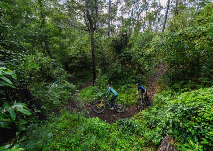 Two mountain bikers, Mountain biking, Mogo - Credit: Eurobodalla Coast Tourism | Flow MTB
