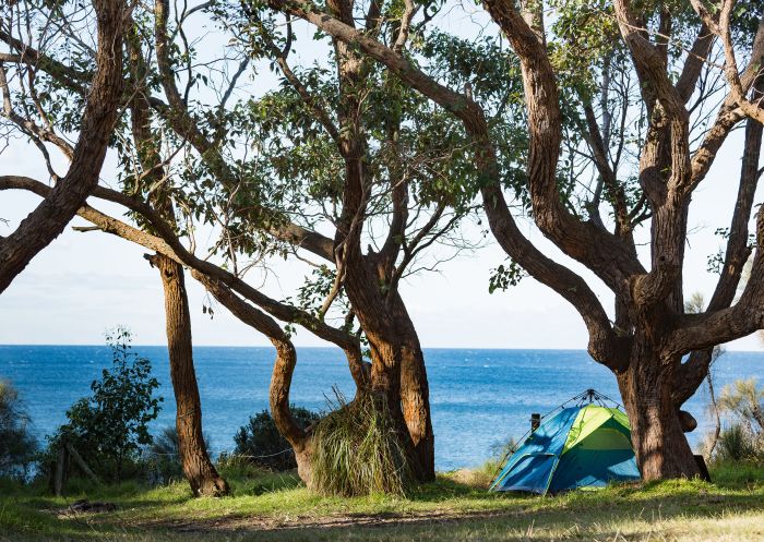 Tent under tree, Mystery Bay Campground, Mystery Bay - Credit: Eurobodalla Coast Tourism