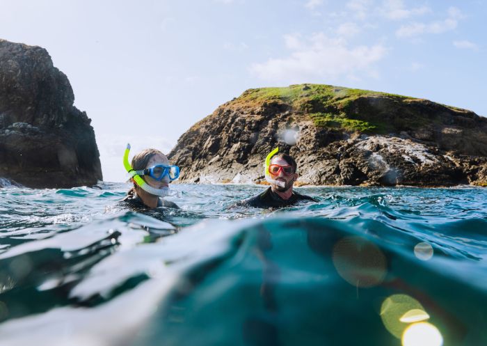 Family goes diving off the Coffs Coast with Jetty Dive Centre, Coffs Harbour