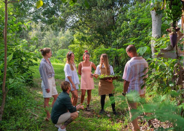 Guests engaging with food, Karkalla on Country, Myocum