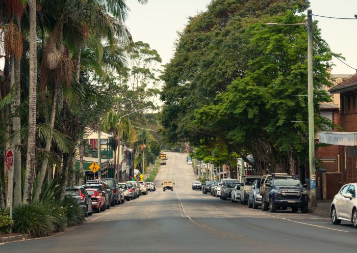 Trees and street view, Streetscape, Bangalow