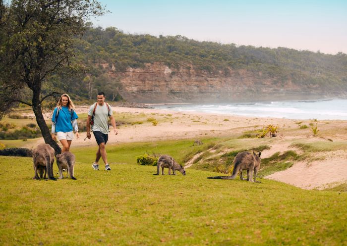 Pebbly Beach, Murramarang National Park