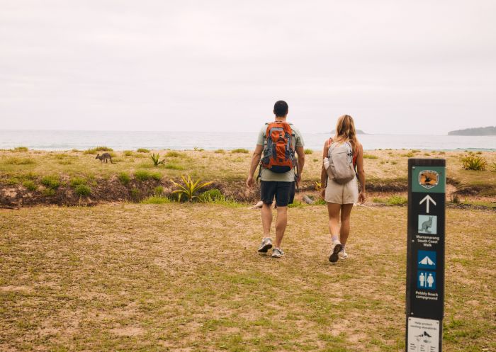 Pebbly Beach, Murramarang National Park
