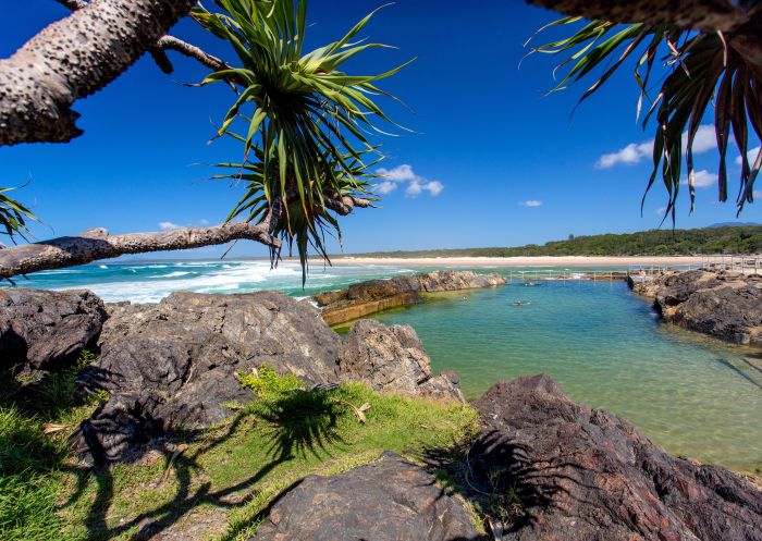 View with palms, Sawtell Rock Pool, Sawtell - Credit: Gary Bell