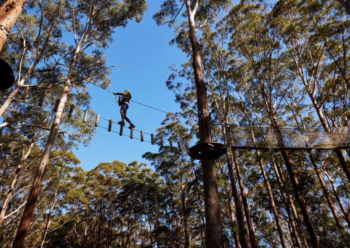 Visitor walking along the course, Treetops Adventure Coffs Harbour, Coffs Harbour