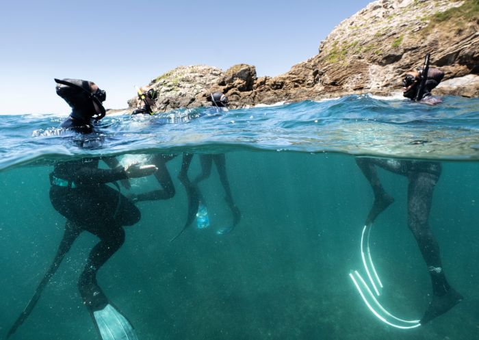 Divers on water edge, Wild Byron Sea Safaris at Julian Rocks, Byron Bay
