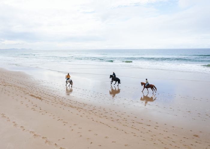 Aerial shot of horses running on beach, Zephyr Horses, Byron Bay