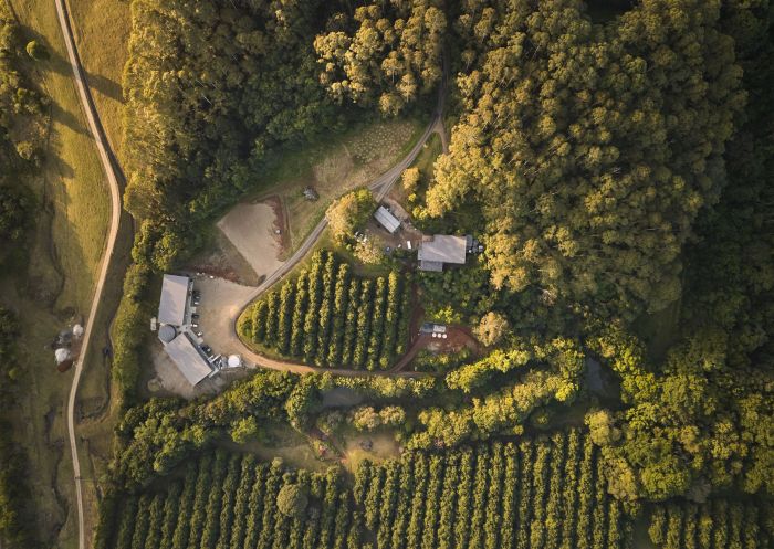 Aerial view of grounds, Cape Byron Distillery, Mcleods Shoot