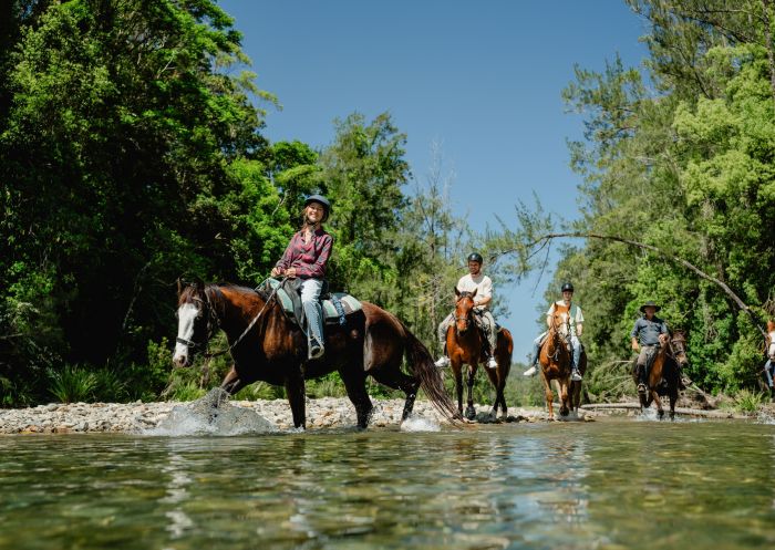 Family exploring Orara Valley on a guided horseriding tour, HWH Stables, Upper Orara 