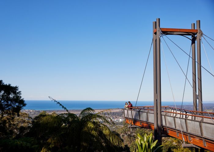 Couple enjoying the view from pier , Forest Sky Pier, Niigi Niigi - Sealy Lookout, Korora