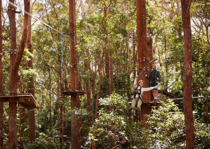 Visitor flying along the course, Treetops Adventure Coffs Harbour, Coffs Harbour