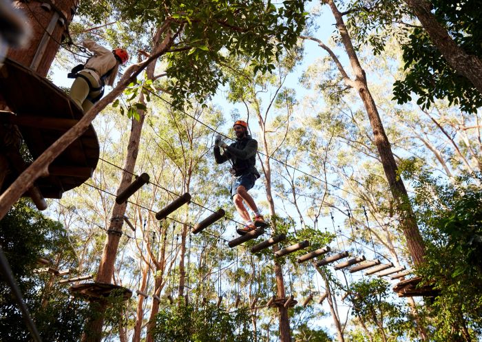 Two people walking along the course, Treetops Adventure Coffs Harbour, Coffs Harbour