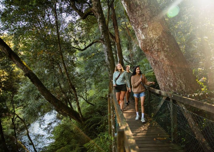 Young people enjoying a walk through the rainforest, Dangar Falls, Dorrigo