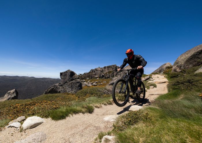 Man mountain biking, Thredbo Mountain Bike Park, Snowy Mountains