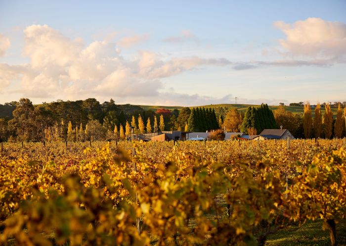 Looking over the vineyards, Bendooley Estate, Berrima