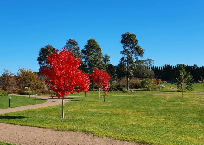 Vibrant autumn colours at the Southern Highlands Botanic Gardens, Bowral - Credit: Southern Highlands Botanic Gardens Ltd