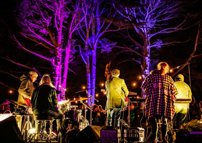 A live band playing at night surrounded by pine trees at Ngununggula Southern Highlands Regional Gallery, Bowral - Credit: Brian Rapsey