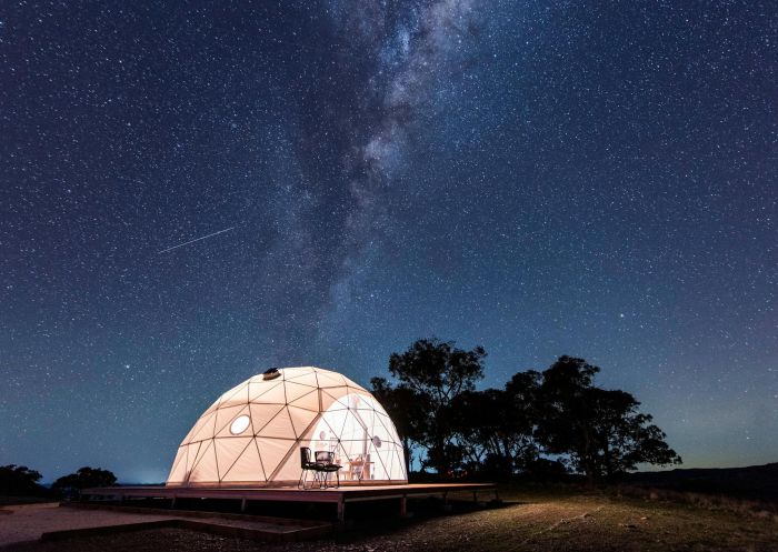 Starscape above Glamping Dome, Grattai - Credit: Amber Hooper | Amber Creative
