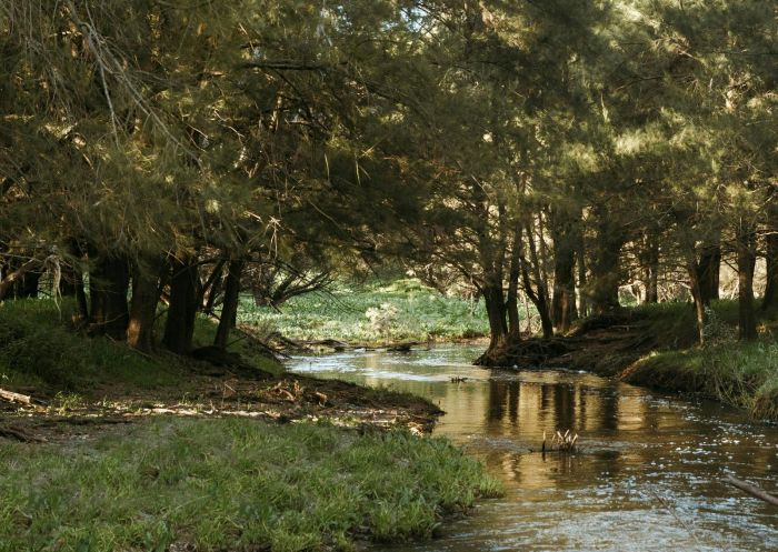 Belubula River at Bakers Shaft Reserve Camp, Burnt Yards - Credit: Blayney Shire Council