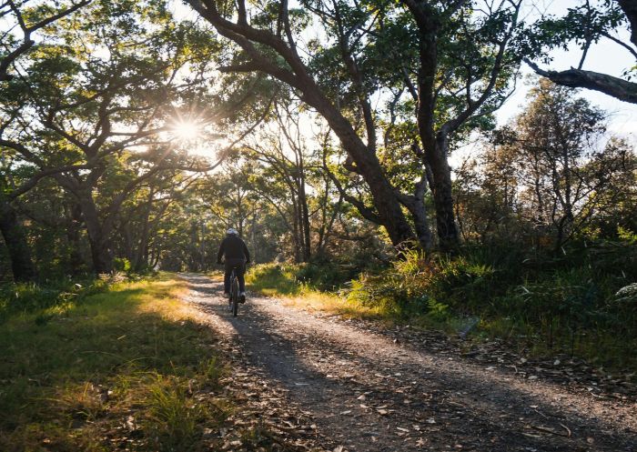 Sun streaming through trees onto a cyclist on the Mossy Point Cycleway - Credit: Eurobodalla Shire Council