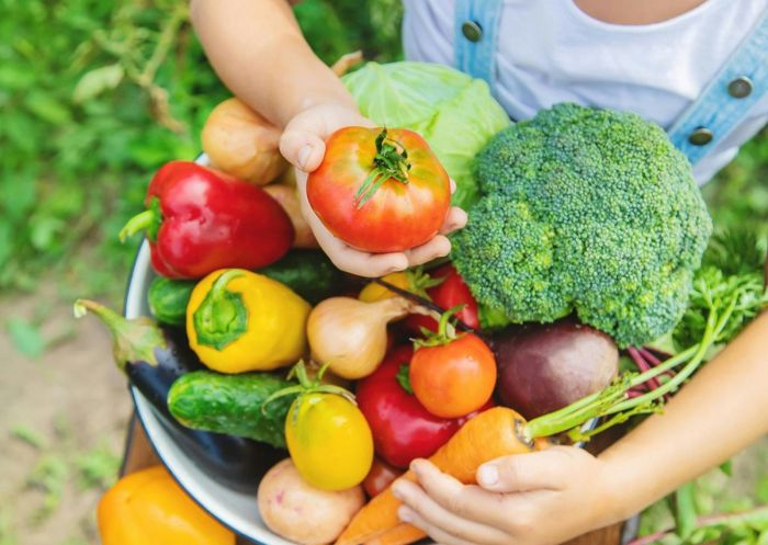 Bowl of fresh vegetables, Bangalow Farmers Market, Bangalow - Credit: Bangalow Farmers Market