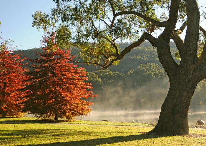 Lake Alexandra on a misty morning in autumn in Mittagong - Credit: Destination Southern Highlands