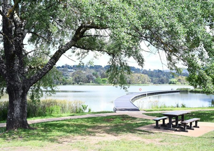 A beautiful large green tree next to the lake at Lake Canobolas Reserve, Nashdale - Credit: Orange City Council