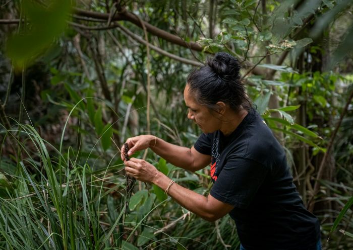 Walgun Cape Byron Aboriginal Tour, Explore Byron Bay, Byron Bay - Credit: Same Clark | Explore Byron Bay