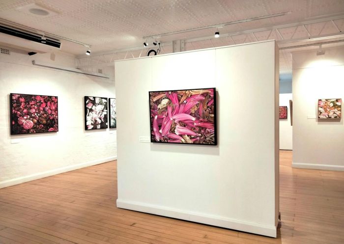 Big paintings of fallen leaves and flowers, Roxy Gallery, Kyogle - Credit: Kyogle Council