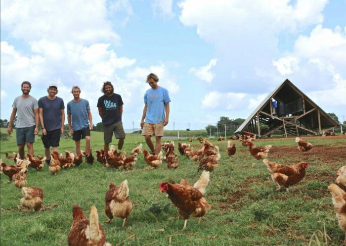 People in field with the chickers, The Farm, Byron Bay - Credit: The Farm Byron Bay