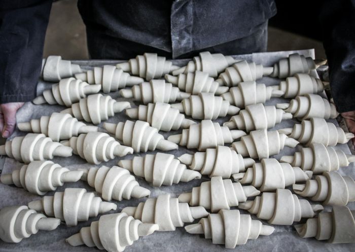 準備發酵和烘烤的捲好的牛角麵包，來自瑪麗維爾的Uprising Bakery and Kitchen - 圖片來源：Uprising Bakery