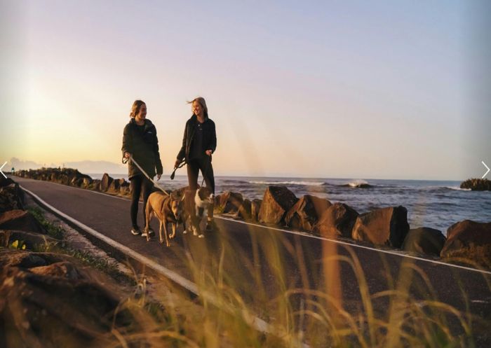 Walking North Wall with dogs, North Wall Coastal Walk, East Ballina - Credit: Trevor Worden