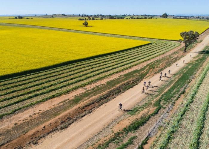 Cycling Wagga Wagga Festival Craft Beer, Gears and Beers Festival, Wagga Wagga - Credit: Matt Beaver