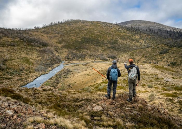 Fly fishing for trout, Tom's Outdoors Guide Services - Snowy Mountains Fly Fishing Tours, Tumut - Credit: Tom's Outdoor's